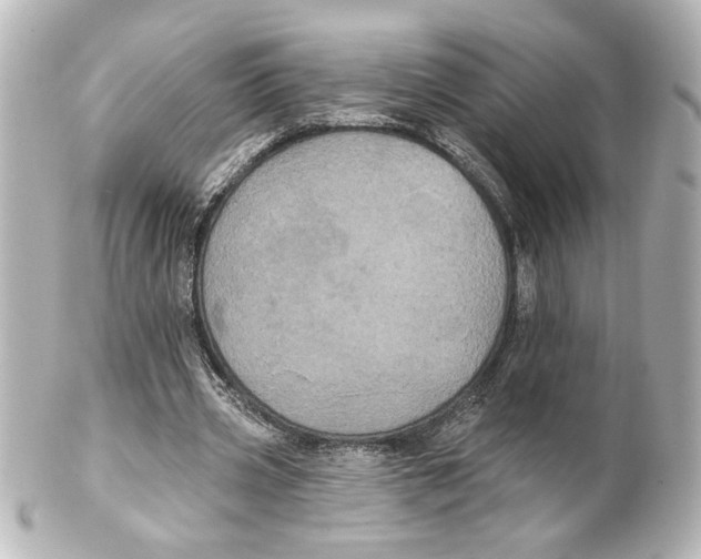 X0000101450533200808041021