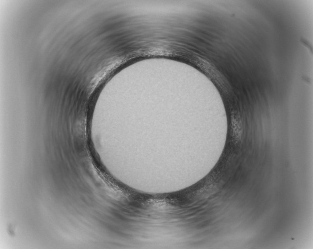 X0000101450534200808041021