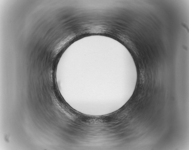 X0000101450535200808041021