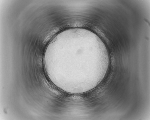 X0000101450537200808041021