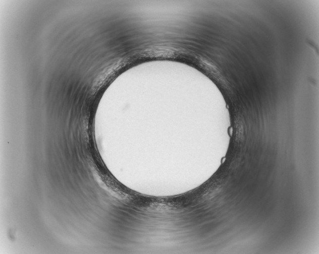 X0000101450538200808041021