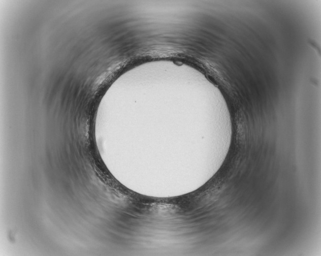 X0000101450539200808041021