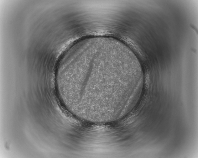 X0000101450540200808041021