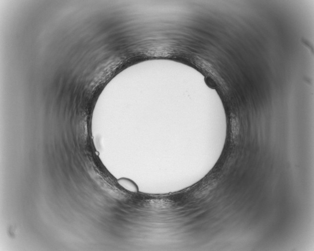 X0000101450541200808041021