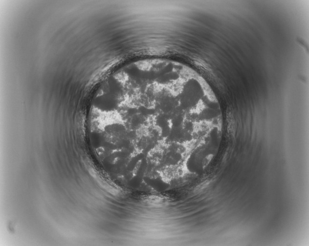 X0000101450542200808041021