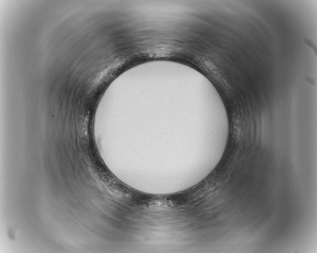 X0000101450543200808041021