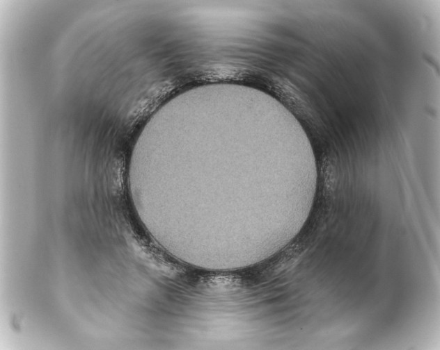 X0000101450546200808041021