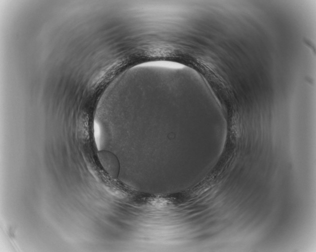 X0000101450547200808041021