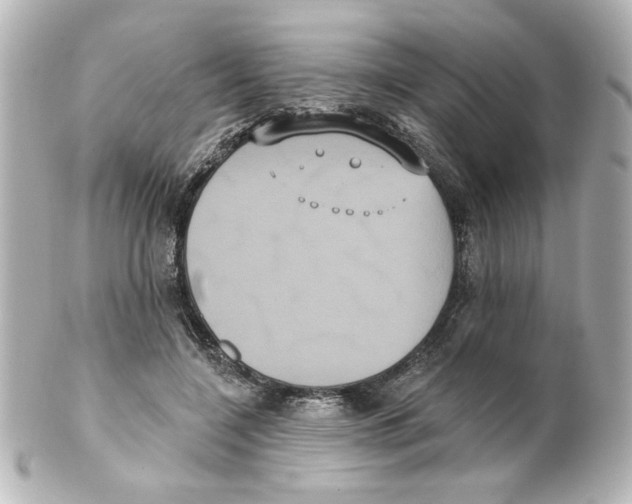 X0000101450548200808041021