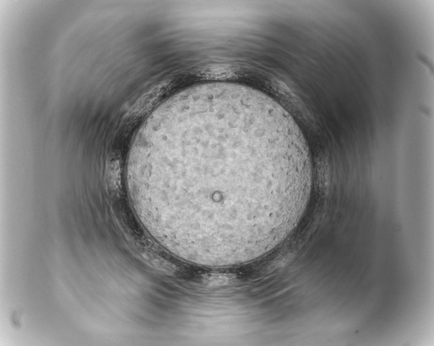 X0000101450549200808041021