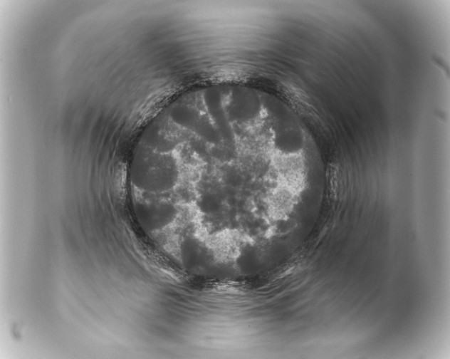 X0000101450550200808041021