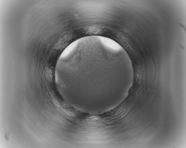 X0000101450551200808041021