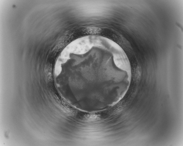 X0000101450553200808041021