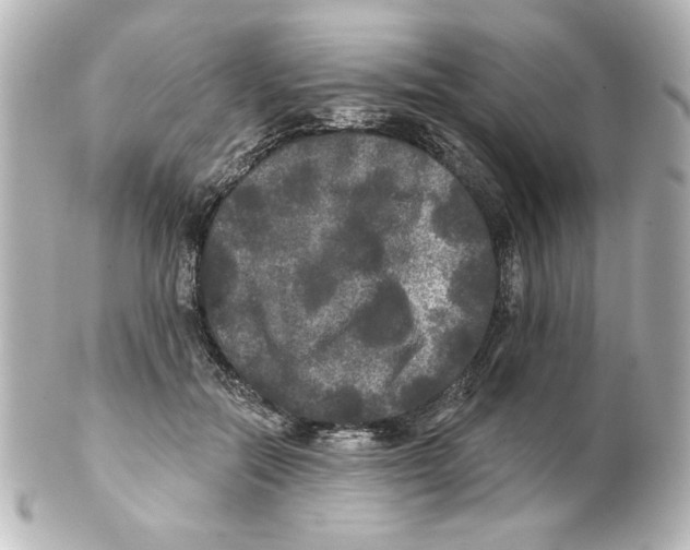 X0000101450554200808041021