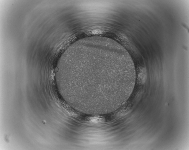 X0000101450555200808041021