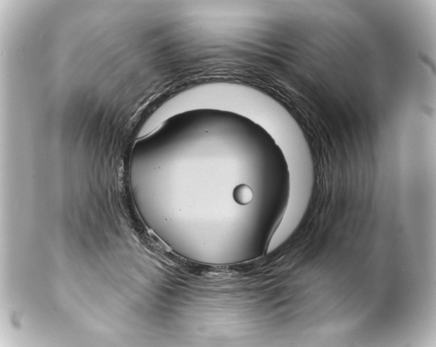 X0000101450556200808041021