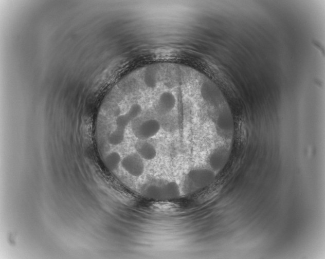 X0000101450557200808041021