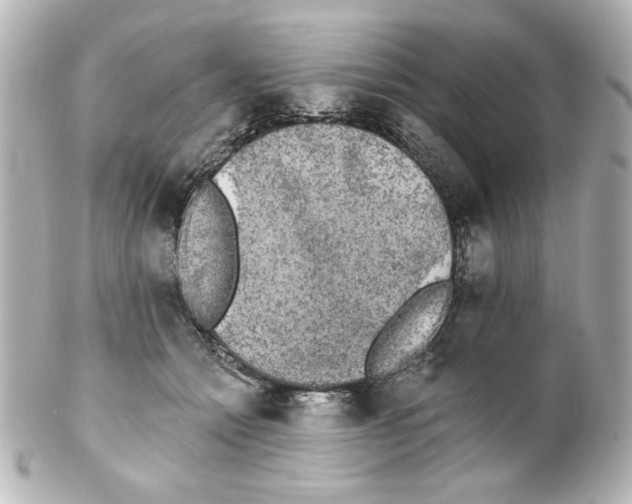 X0000101450558200808041021