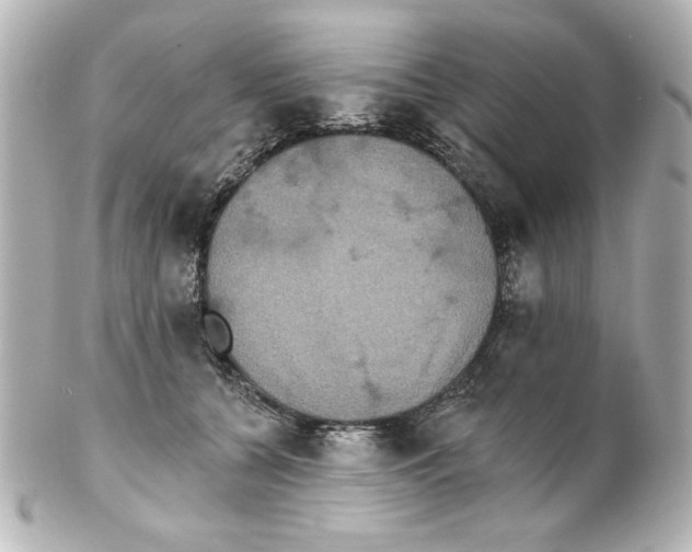 X0000101450560200808041021