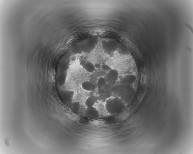 X0000101450561200808041021