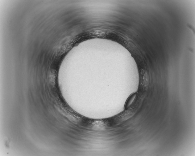 X0000101450562200808041021