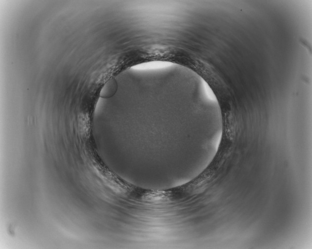 X0000101450563200808041021