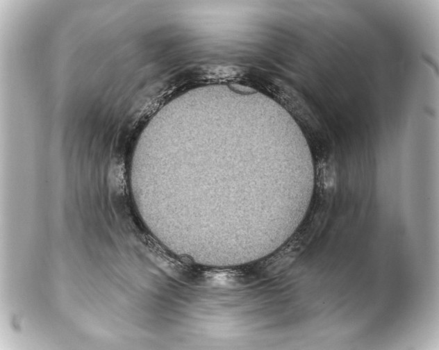 X0000101450564200808041021