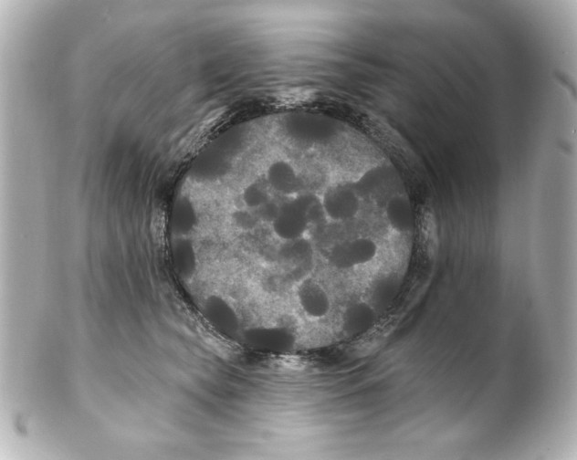 X0000101450565200808041021