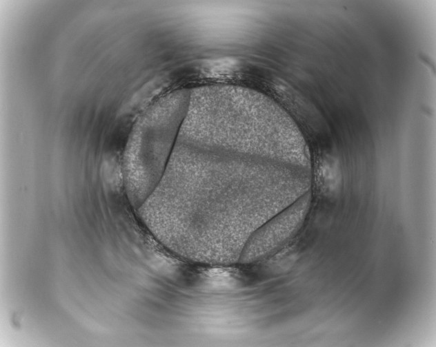 X0000101450566200808041021