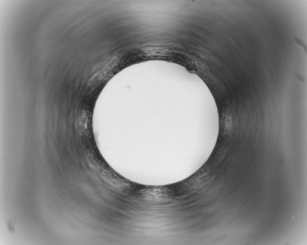 X0000101450567200808041021