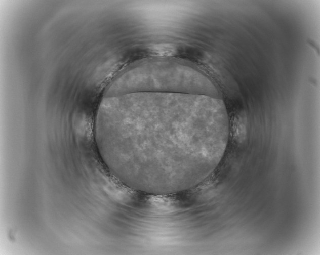 X0000101450568200808041021