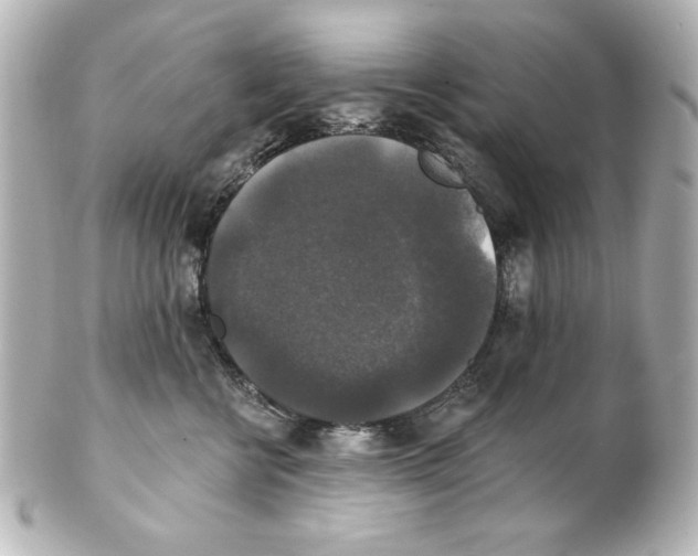 X0000101450570200808041021