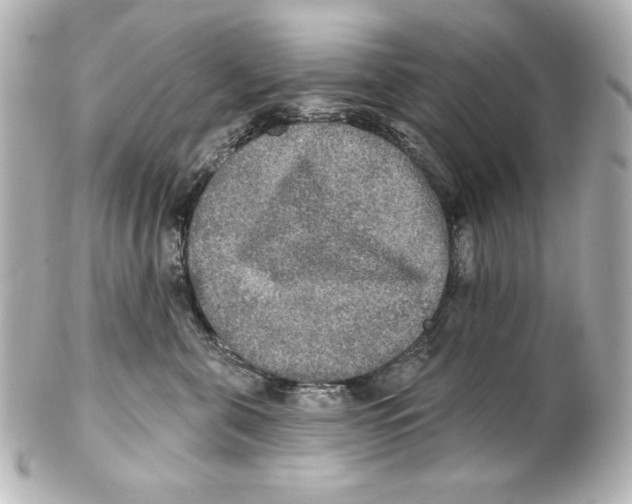 X0000101450571200808041021