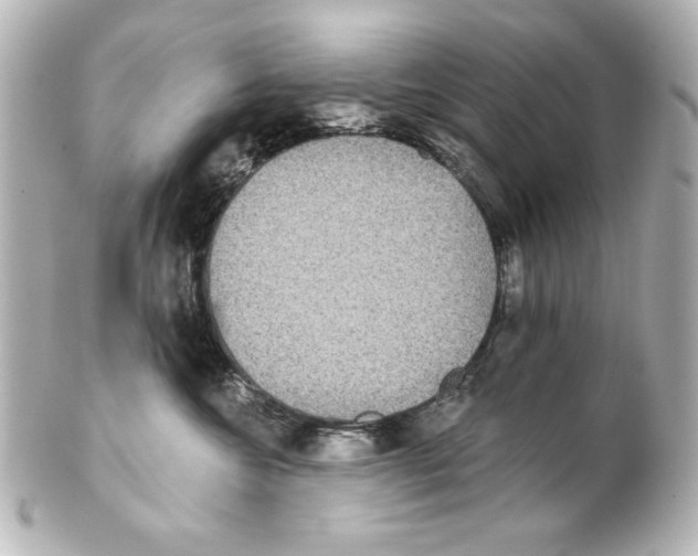 X0000101450572200808041021