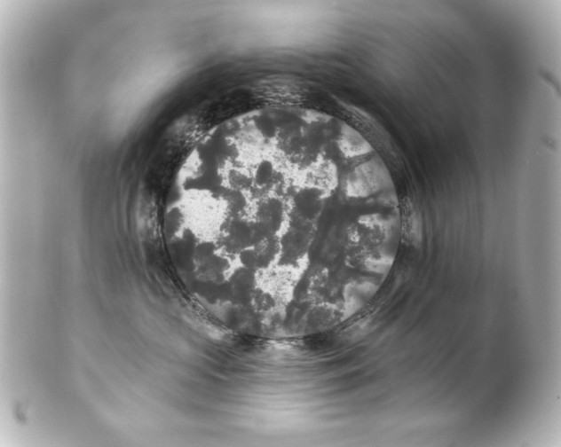 X0000101450573200808041021