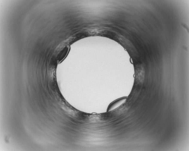 X0000101450574200808041021