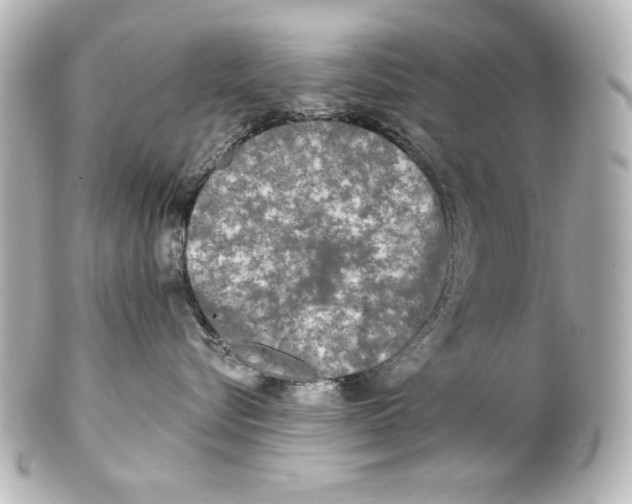 X0000101450576200808041021