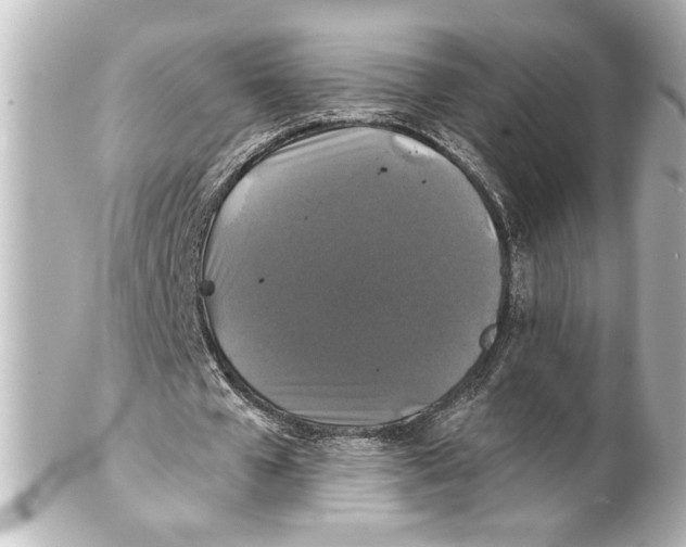 X0000101450577200808041021