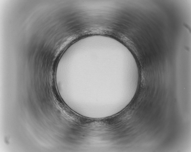 X0000101450578200808041021