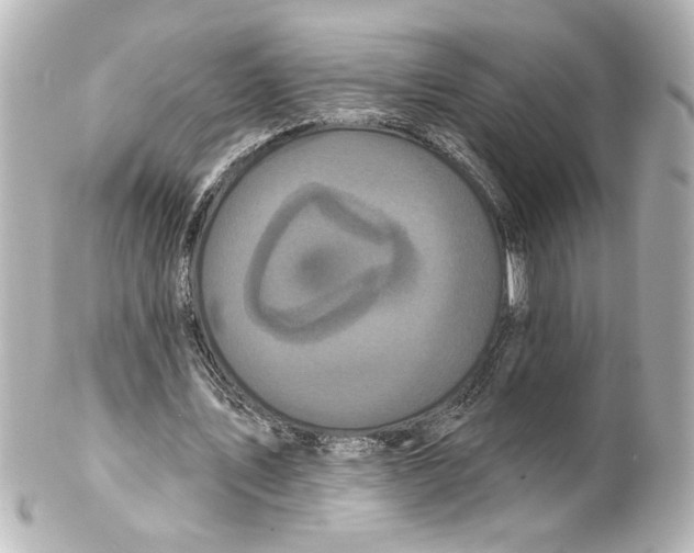 X0000101450579200808041021