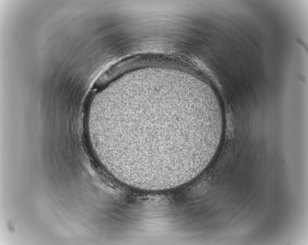 X0000101450580200808041021