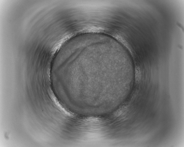 X0000101450581200808041021