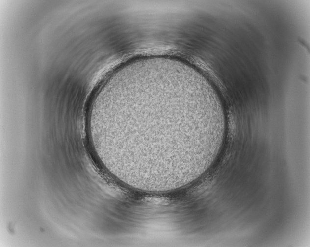 X0000101450582200808041021