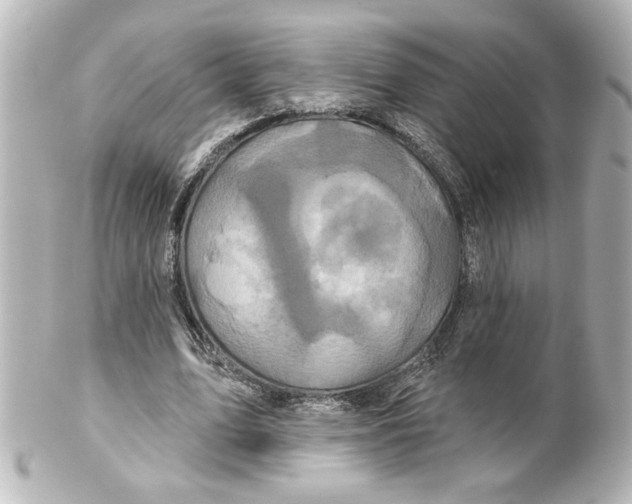 X0000101450583200808041020