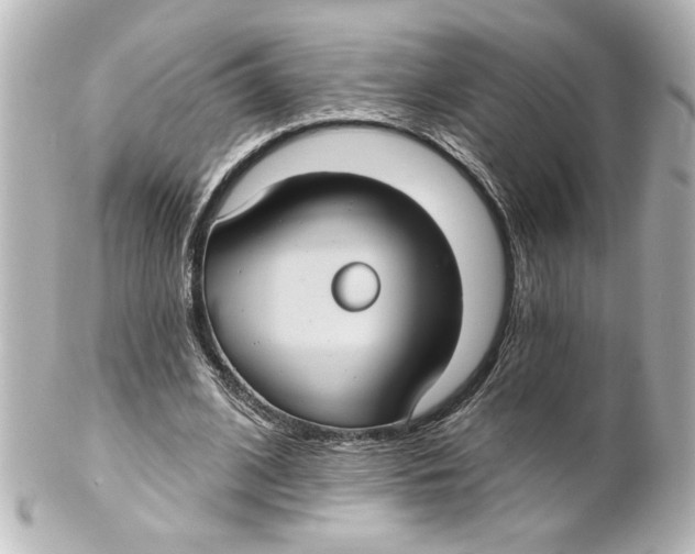 X0000101450584200808041020