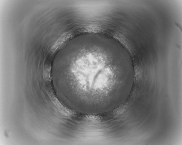 X0000101450585200808041020