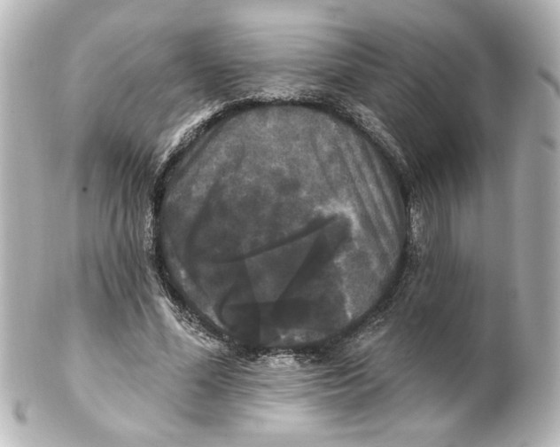 X0000101450588200808041020