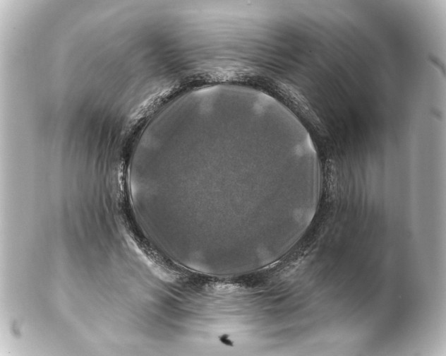 X0000101450590200808041020