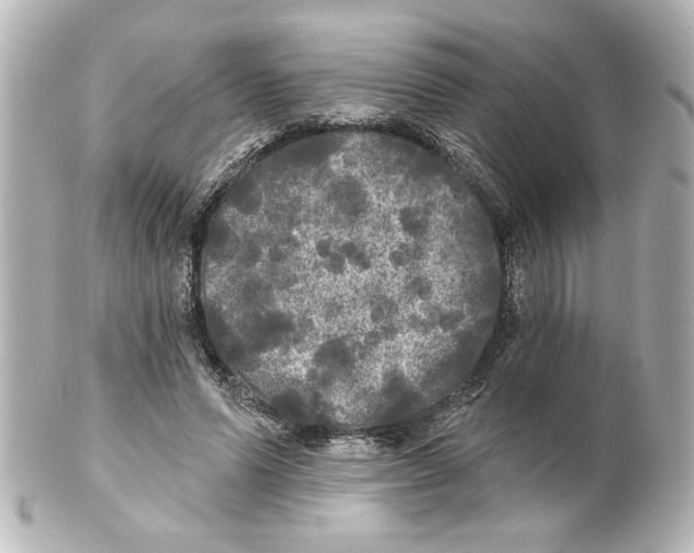 X0000101450591200808041020