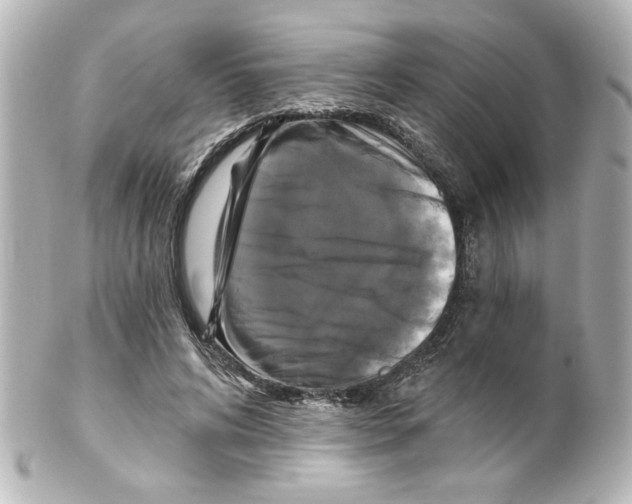 X0000101450592200808041020